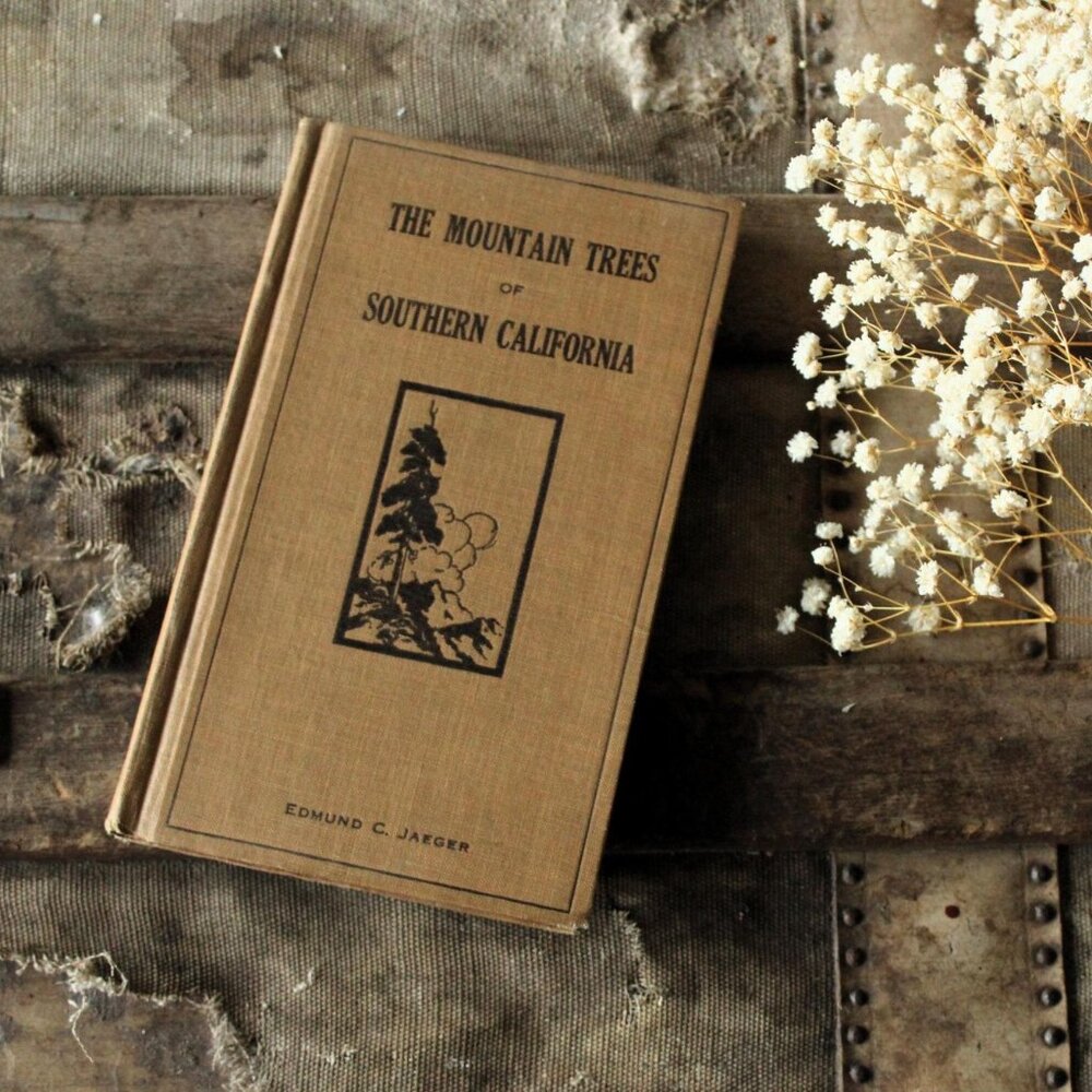 Vintage 1920s Book, "The Mountain Trees of Southern California" by Edmund Jaeger
